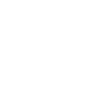 Play Icon